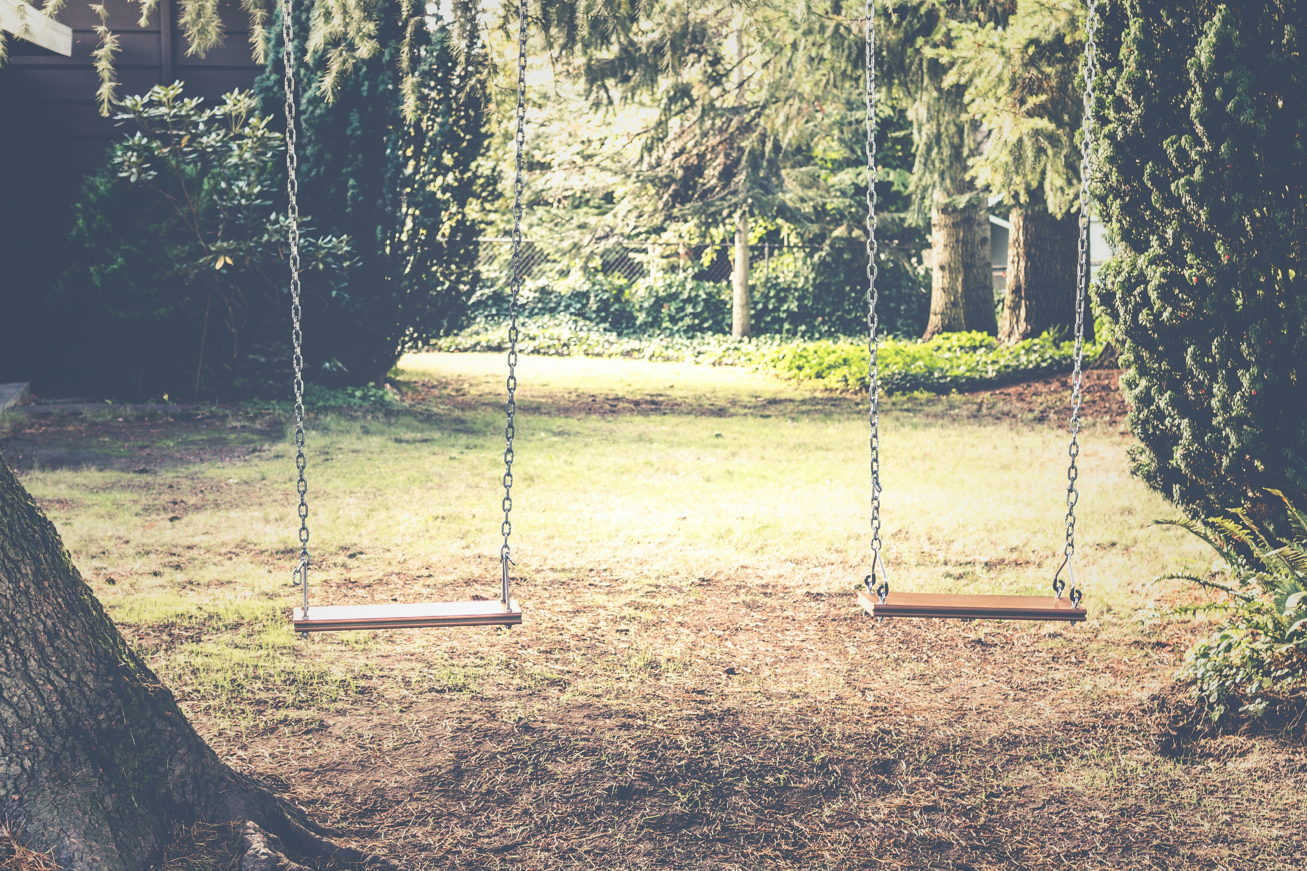 photograph of empty swings between trees